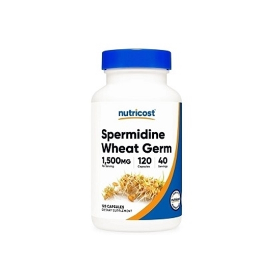 Снимка на SPERMIDINE WHEAT GERM/ ПШЕНИЧНИ ЗАРОДИШИ 500 МГ Х 120 KАПСУЛИ